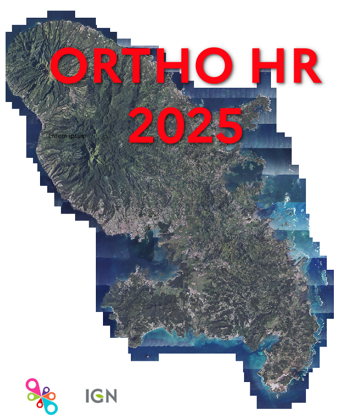 ORTHO HR 2025